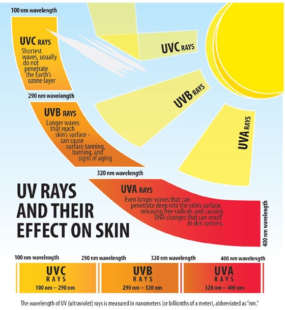 UV-Ray -Chart